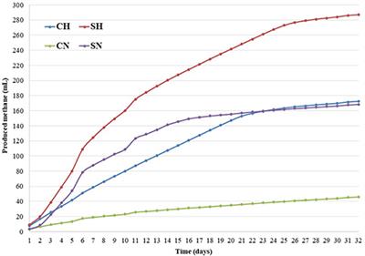 Microbial Community Rearrangements in Power-to-Biomethane Reactors Employing Mesophilic Biogas Digestate